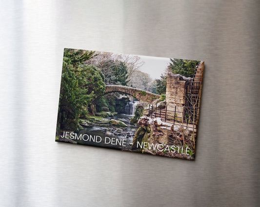 Jesmond Dene Winter Magnet 9 x 6.5 cm rectangular photography magnet