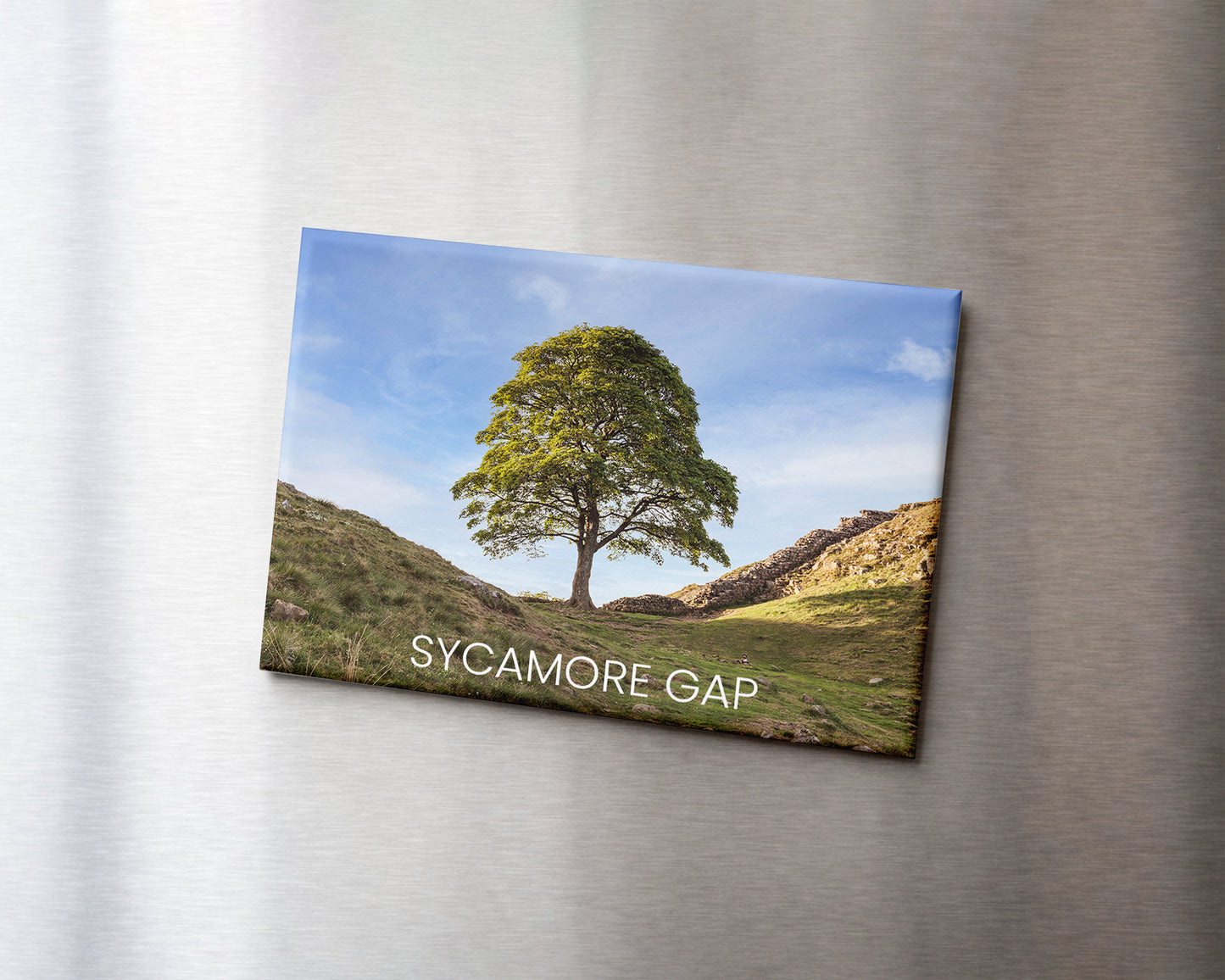 Sycamore Gap Magnet 9 x 6.5 cm rectangular photography magnet