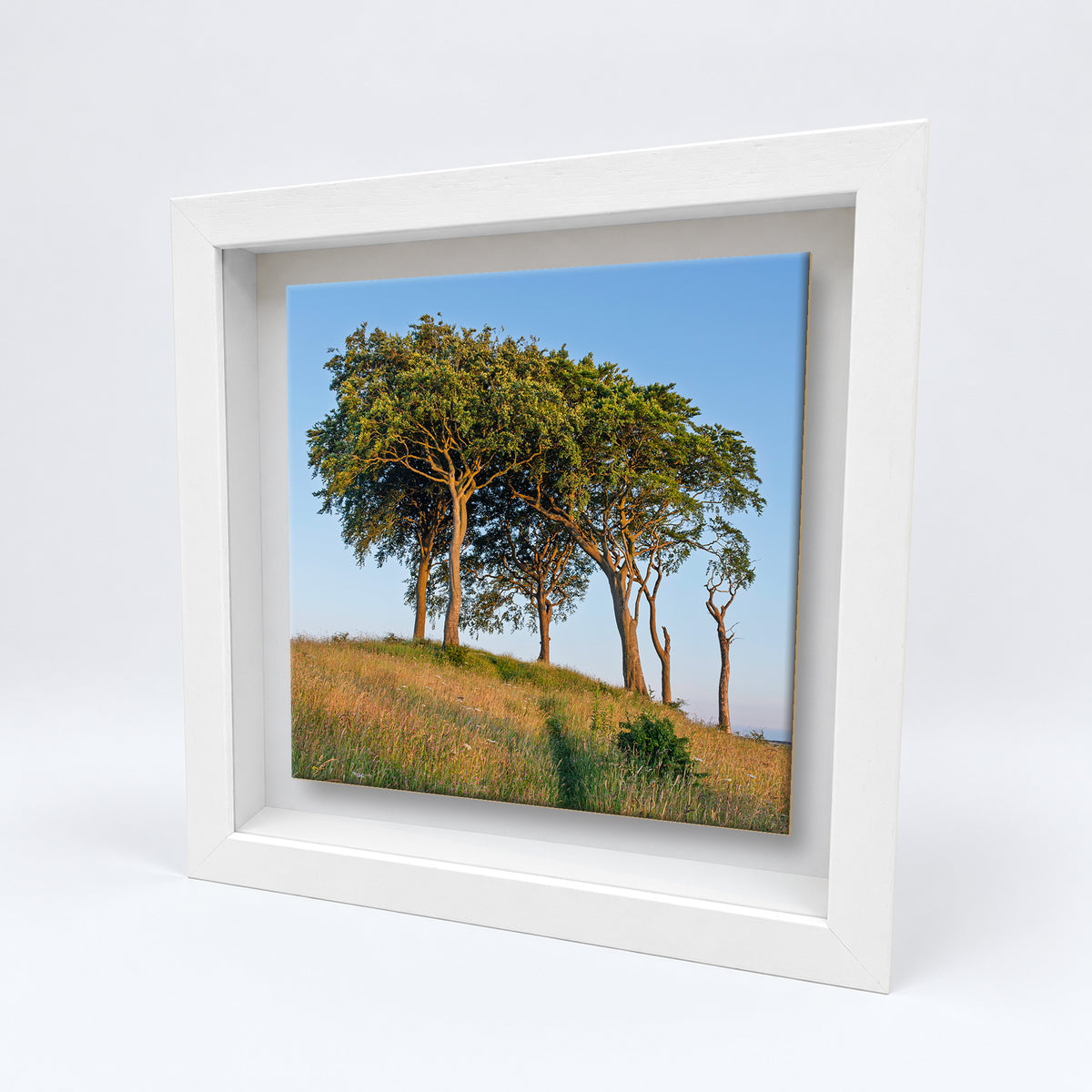 Seven Sisters Copt Hill on an 8×8 inch ceramic tile in a white box frame, angled view