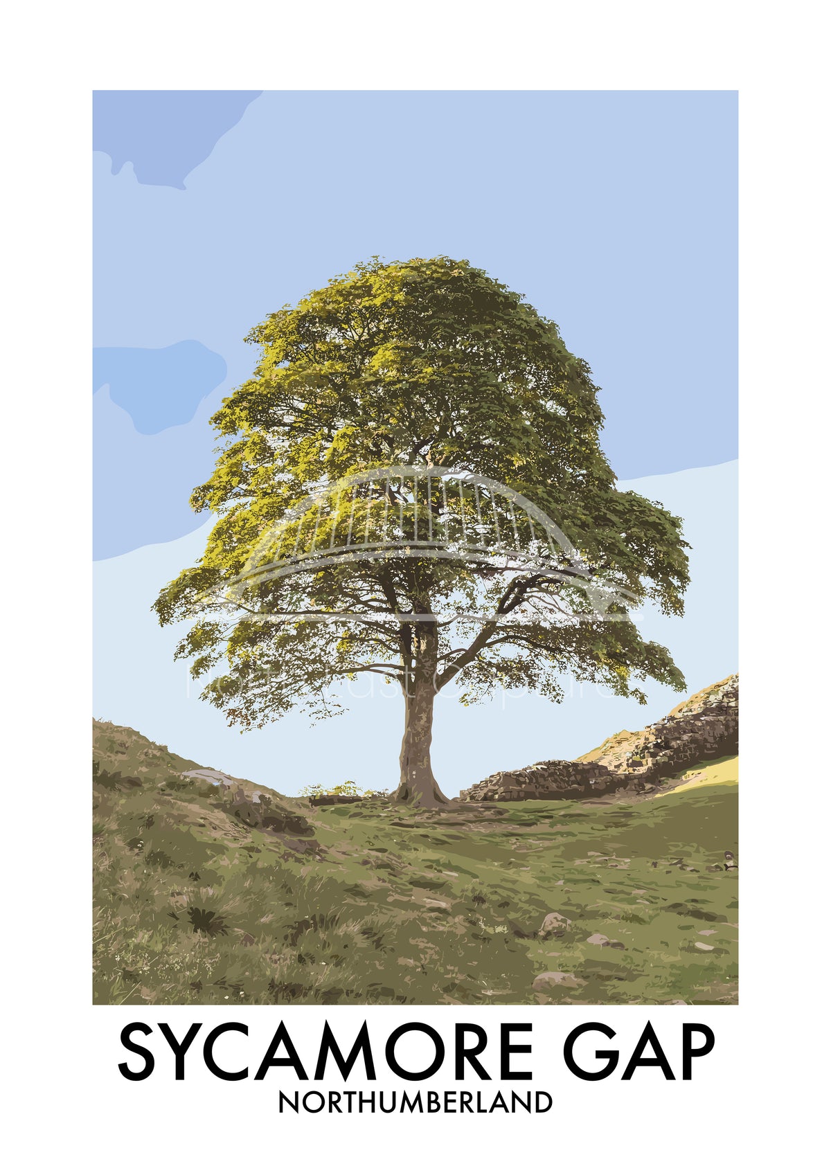 Sycamore Gap Tree Portrait vector artwork with landmark lettering and preview watermark