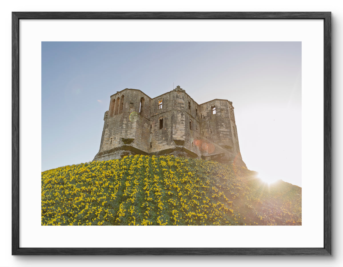 Warkworth Castle Sunset & Daffodils — black frame with white mount