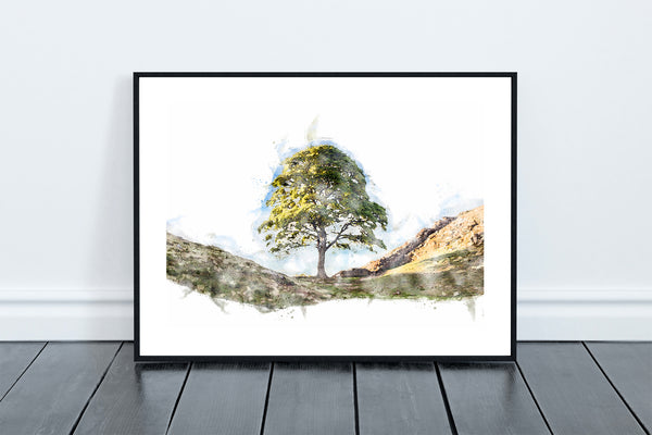 Sycamore Gap Tree Digital Watercolour, Northumberland
