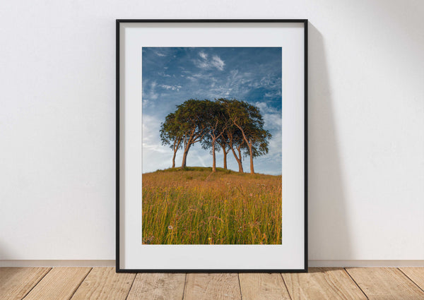 Seven Sisters Print, Copt Hill, Houghton-le-Spring, Sunderland