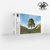 The Sycamore Gap Tree in Northumberland, 1000 Piece Jigsaw Puzzle