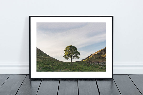 Sycamore Gap