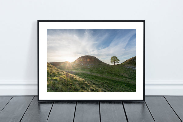 Sycamore Gap Tree on Hadrian's Wall in Northumberland - North East Captures