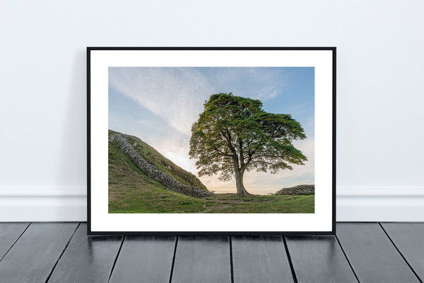 Sycamore Gap and Hadrian's Wall near Crag Lough in Northumberland. - North East Captures