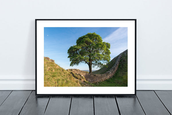 Sycamore Gap and Hadrian's Wall near Crag Lough in Northumberland. - North East Captures